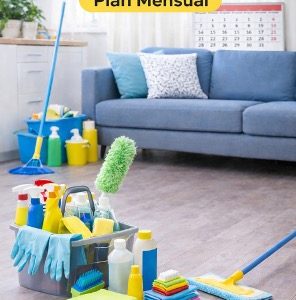 Servicio Esencial (Mensual 4 días al mes)